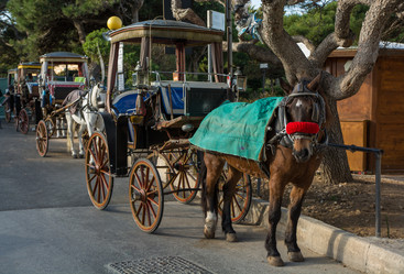 Similar image 13209092