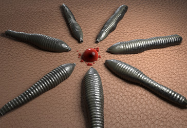 Similar image 13212484