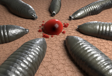 Similar image 13212485