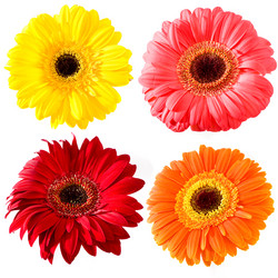 Similar image 13207851