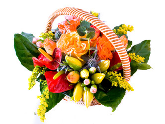 Similar image 13207852