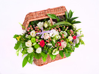 Similar image 13207859