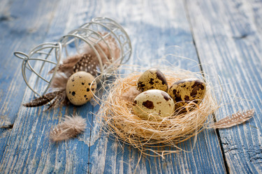 Similar image 13207821