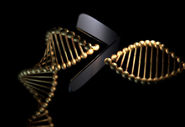 Similar image 13212388