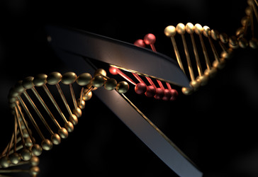 Similar image 13212997