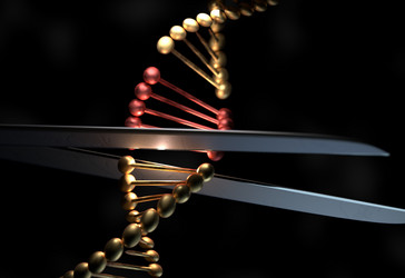 Similar image 13212998