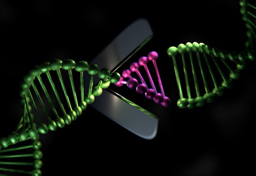 Similar image 13212999