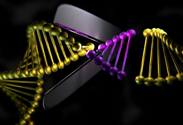 Similar image 13213000