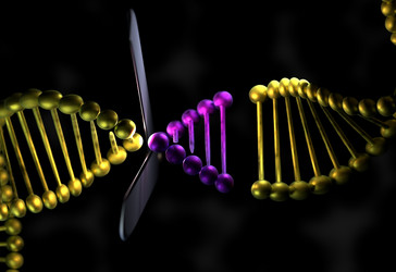 Similar image 13213001