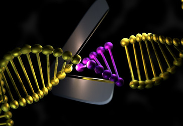 Similar image 13213002