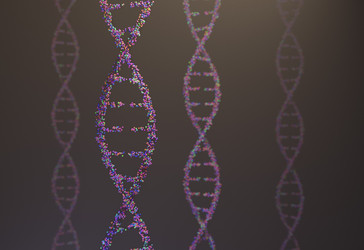 Similar image 13212623