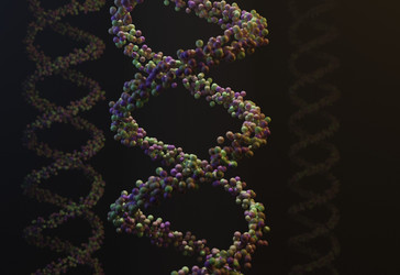 Similar image 13212624