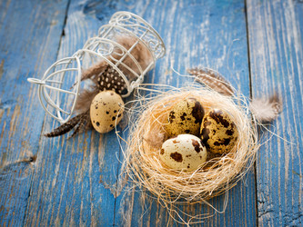 Similar image 13207863