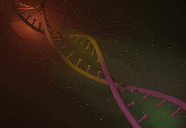 Similar image 13213004