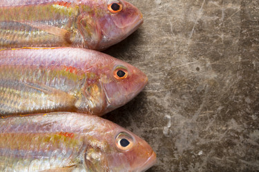 Similar image 13193046