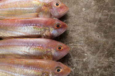 Similar image 13193047