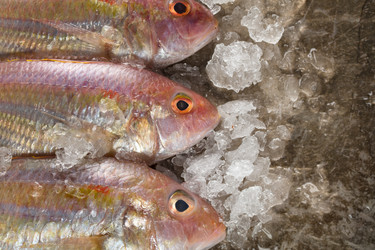 Similar image 13193048