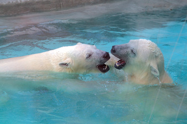 Similar image 13192343