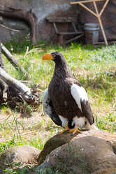 Similar image 13191342