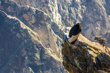 Similar image 13207660