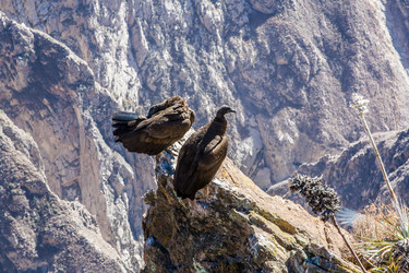 Similar image 13207668