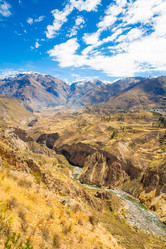 Similar image 13207673