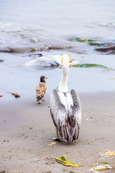 Similar image 13207692