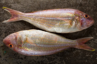 Similar image 13193057