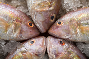 Similar image 13193059