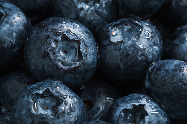 Similar image 13210080