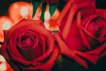 Similar image 13205832