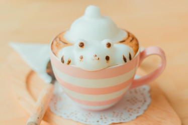 Similar image 13205204