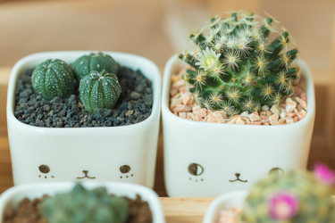 Similar image 13205224