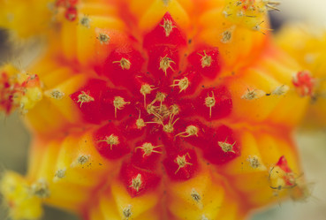 Similar image 13205851