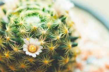 Similar image 13205852