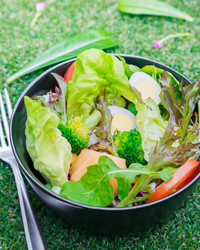 Similar image 13205241