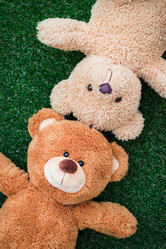 Similar image 13205887