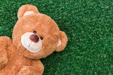 Similar image 13205888