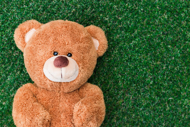 Similar image 13205917