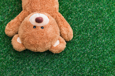 Similar image 13205918