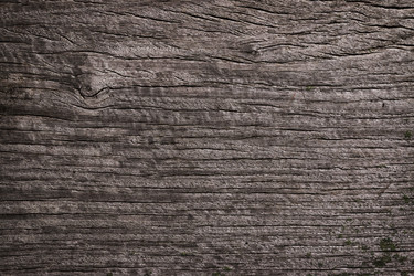 Similar image 13209764