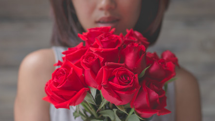 Similar image 13209765