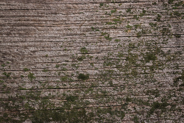 Similar image 13209767