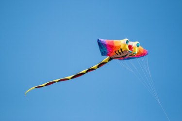 Similar image 13209853