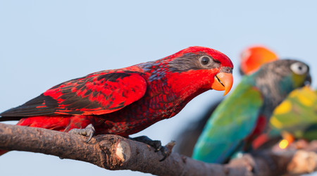 Similar image 13209854