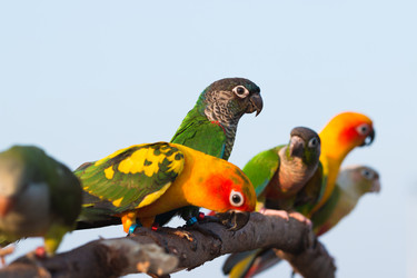 Similar image 13209855