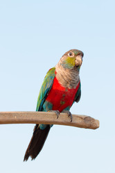 Similar image 13209891