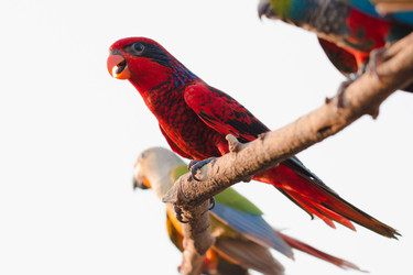 Similar image 13209893