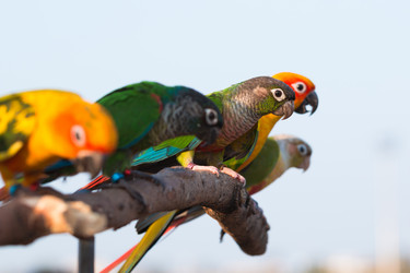 Similar image 13209895