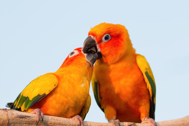 Similar image 13209993